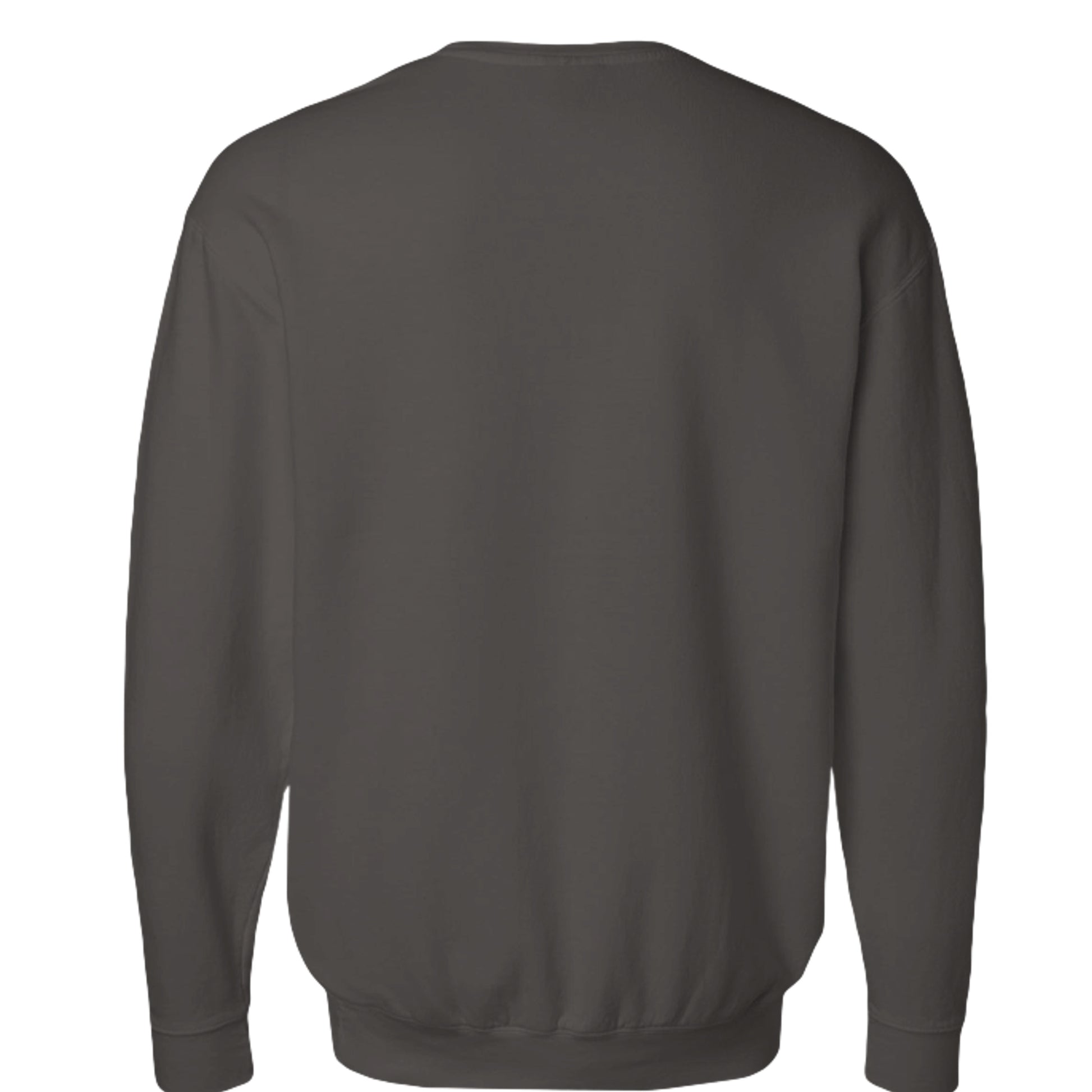 Kinda fit sweatshirt in Pepper — back view