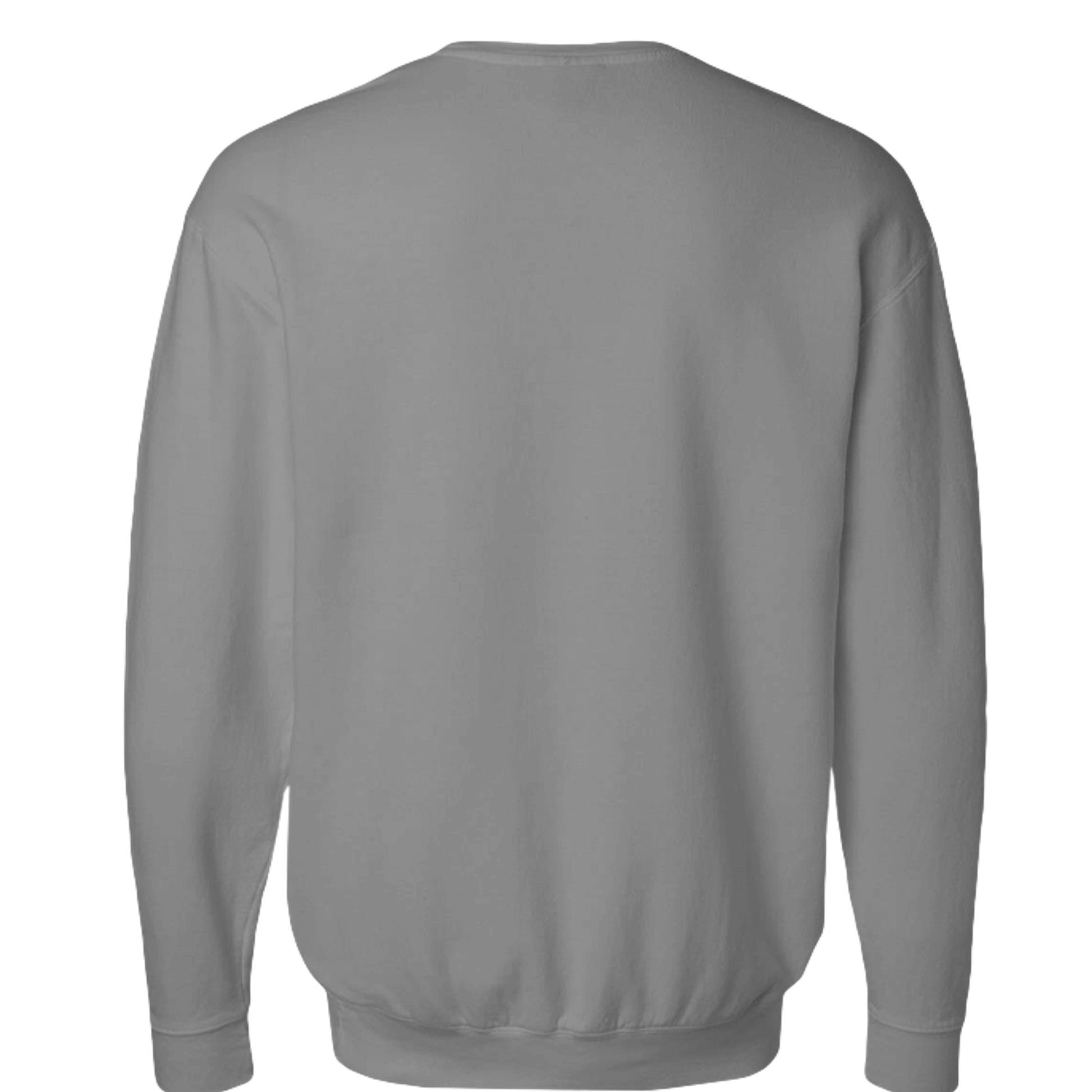Kinda fit sweatshirt in Grey — back view