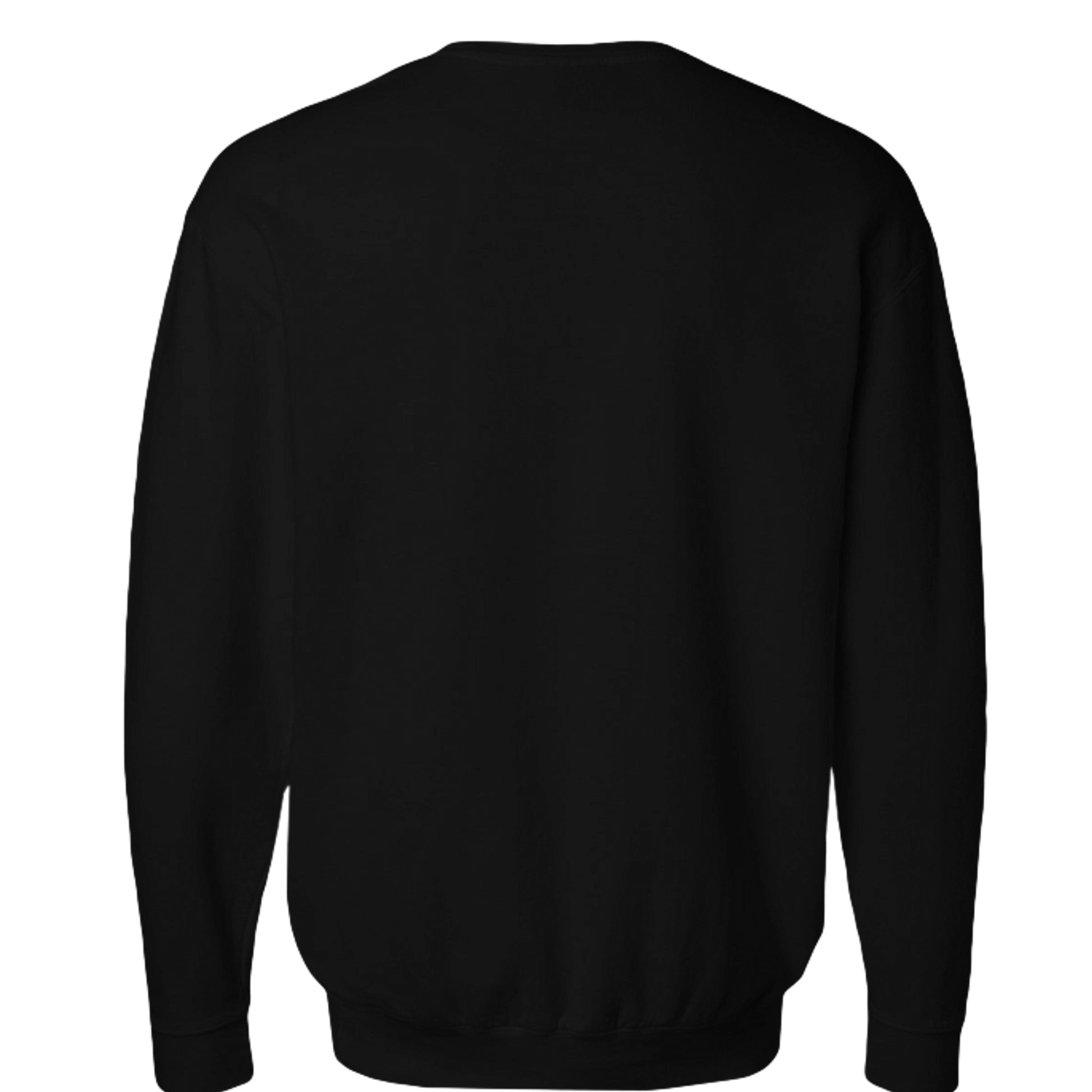 Kinda fit sweatshirt in Black — back view